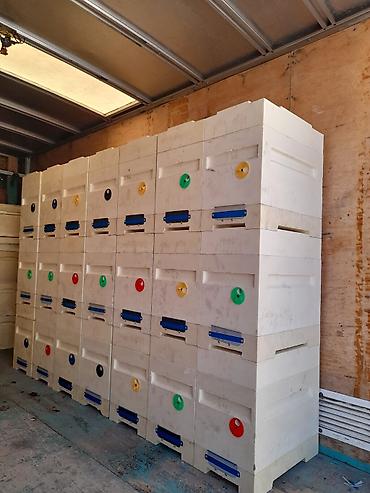 Товары и оборудование для с/х животных: Предлагаются ульи Дадан и 6-рамочники для пчеловодства. Ульи Дадан — 18