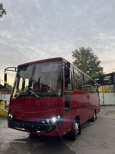 qusar baki avtobus: Hər növ Avtobuslarin Sifarişi İstenilen yere Serifeli qiymet Rahat — 4