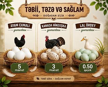 suda yaşayan heyvanlar: Ünvan maştağa — 1