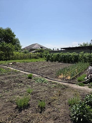 алтын казык ж м: Продается дом в тихом, экологически чистом районе. Село Ленинское Дом — 4
