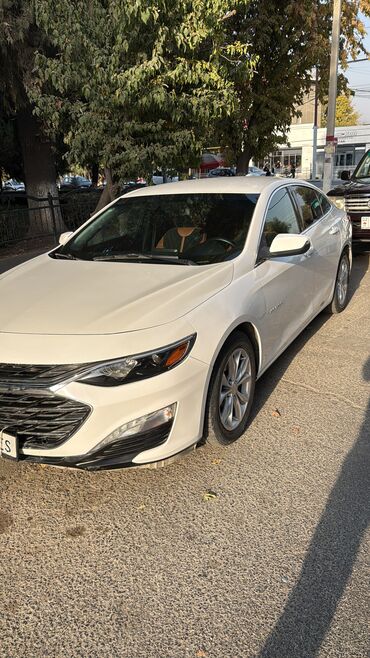 полированный машинка: Chevrolet Malibu: 2020 г., 1.5 л, Автомат, Бензин, Седан