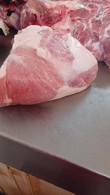 Свиньи: Продаю | Свинья (самка) | На забой — 14