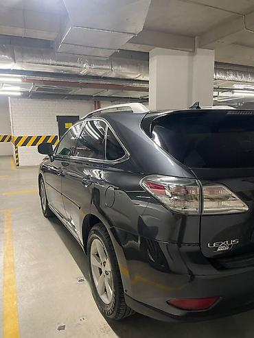 tsunami 100: Lexus RX: 2009 г., 3.5 л, Автомат, Бензин, Кроссовер — 2