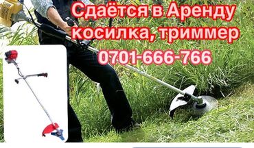 Аренда инструментов: Газонокосилка Бензиновая, Самовывоз, Платная доставка