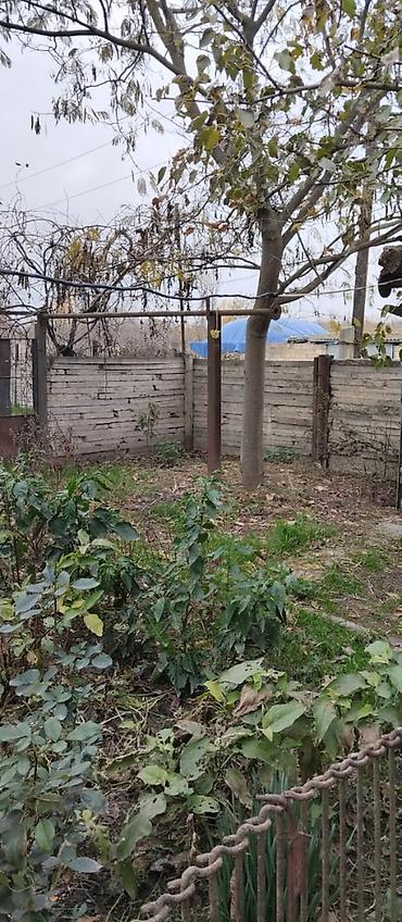 yeni əmlak az: 36 sot, Tikinti, Mülkiyyətçi, Kupça (Çıxarış) — 3