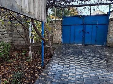 Həyət evləri və villaların satışı: Şağan da pristijli yerde kiraye Həyətyanı sahəsi və ayrıca darvazalı — 5