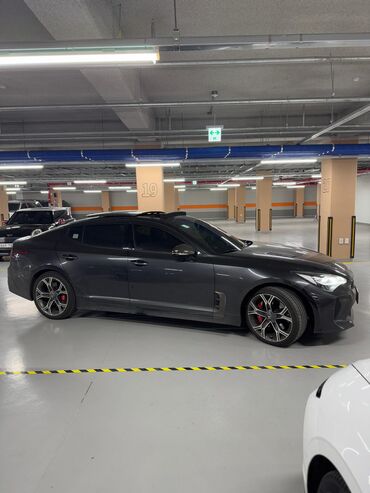 Kia: Kia : 2019 г., 2 л, Бензин — 6