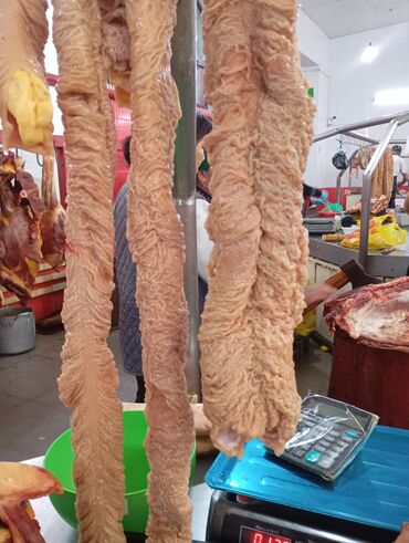 Другие услуги: Чучук карын, карта сатылат — 13