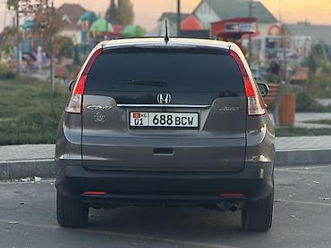 мухабойка срв: Honda CR-V: 2014 г., 2.4 л, Автомат, Газ, Кроссовер — 4
