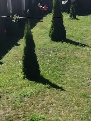 Отели и хостелы: Продаю гостевой дом 2-х этажный 450кв.м в Чон-Сары-Ой(15 минут на авто — 19