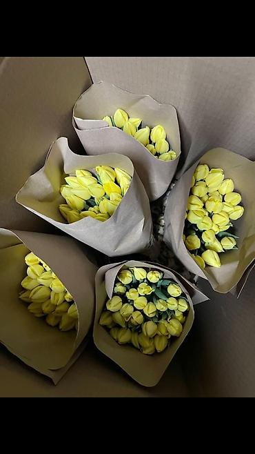 Букеты из живых цветов: Дорогие друзья! В продаже голландские тюльпаны выращенные в наших — 13