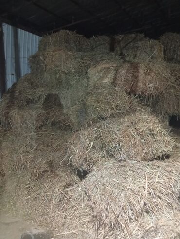 дом кошек: Сено в тюках - Прессованное сено в прямоугольных тюках, хранится под
