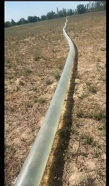 Пленка и бумага: Тип пленки — 6