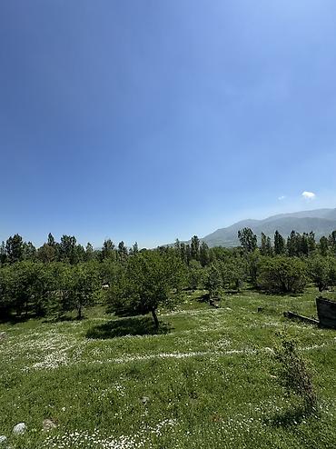 свет сокулук: 5 соток, Для строительства, Красная книга — 10
