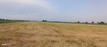 Torpaq sahələrinin satışı: Kənd təsərrüfatı — 9