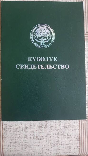 тех паспорт продаю: 216 соток, Айыл чарба үчүн, Техпаспорт