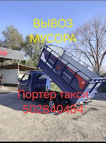 коты бишкек: Вывоз вывоз мосура вывоз мосура вывоз мосура мосура вывоз мосура вывоз — 1