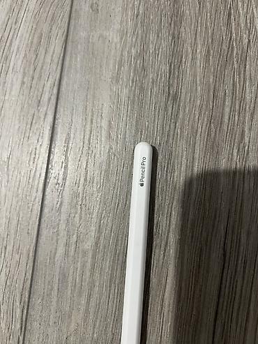 epson a3: Apple Pencil Pro Комплектация: - Apple Pencil Pro - Только сама — 10