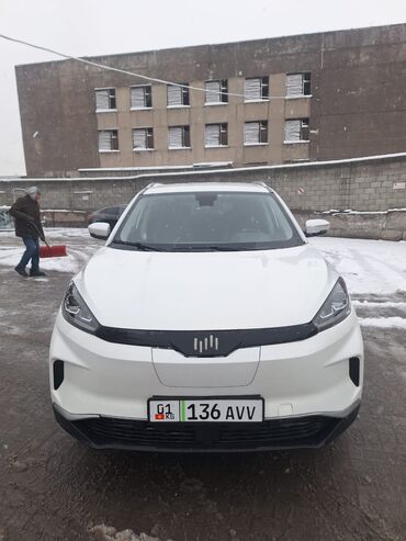 Weltmeister: Weltmeister EX5, 2021 г. — 8