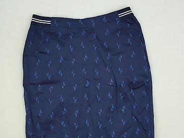 plisowanka: Ladies, Spódnica damska, rozmiar S — 1