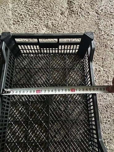 Ящики: Пластиковый Ящик — 1