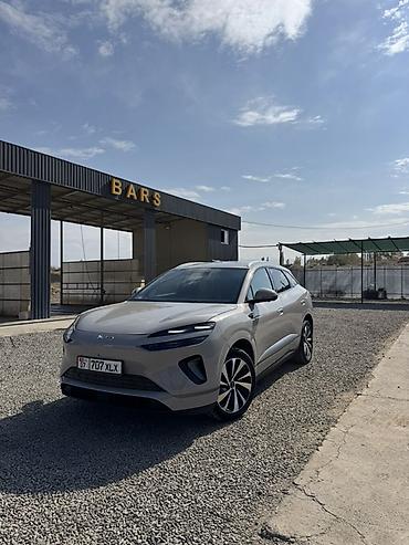 LDV: BYD Sea Lion 06: 2025 г., 0.1 - engine capacity л, Автомат, Электромобиль, Кроссовер — 3