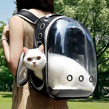рюкзак для животных: Прозрачный рюкзак‑переноска для кошек и мелких животных - Внутри — 4