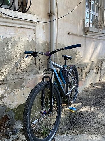 İdman velosipedləri: Velocruz dağ velosipedi - Çərçivə: Alüminium Velocruz, gümüş/mavi — 6