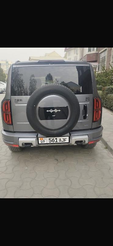 спойдер: BYD FangChengBao Leopard 5: 2025 г. — 5