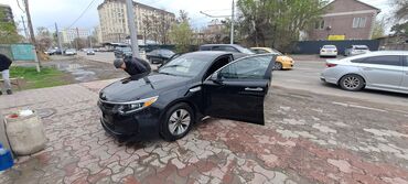 Kia: Kia Optima: 2018 г., 2 л, Автомат, Гибрид, Седан — 4
