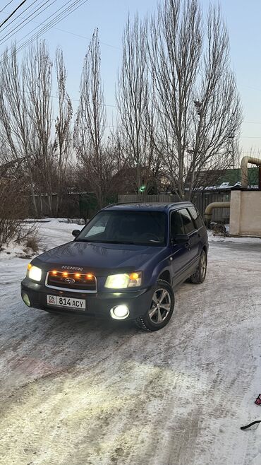 субару форестер 2007: Subaru Forester: 2003 г., 2.5 л, Автомат, Газ, Кроссовер