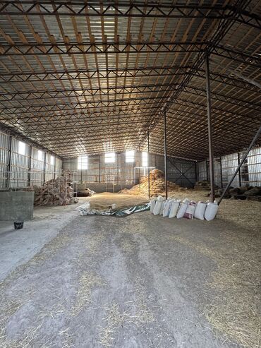 Сельхоз предприятия: Продаю Ферма КРС, 330 соток, Действующий, С оборудованием, Холодная вода, Электричество — 4