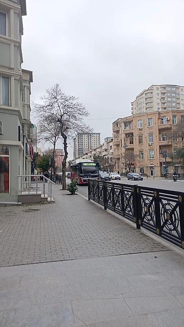 cilə dağı: 4 otaqlı, Yeni tikili, 223 kv. m — 2