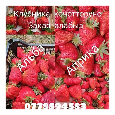 Клубника: Клубника Оптом — 1