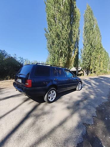Volkswagen: Volkswagen Golf Variant: 1994 г., Универсал — 4