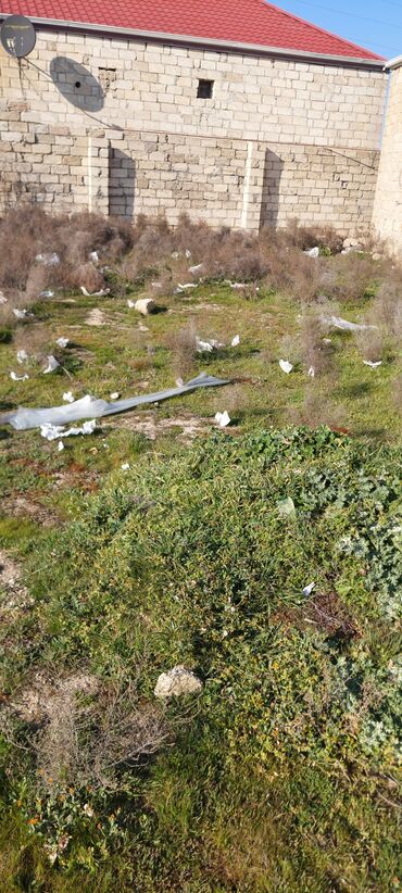 Torpaq sahələrinin satışı: Tikinti — 7