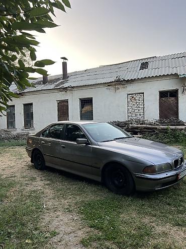 lada priora: BMW 5 series: 2000 г., 2.5 л, Механика, Седан — 4