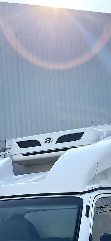ağ sud: Soyuduculu yük avtomobili – Hyundai Porter (Frigo) - Marka/model — 8