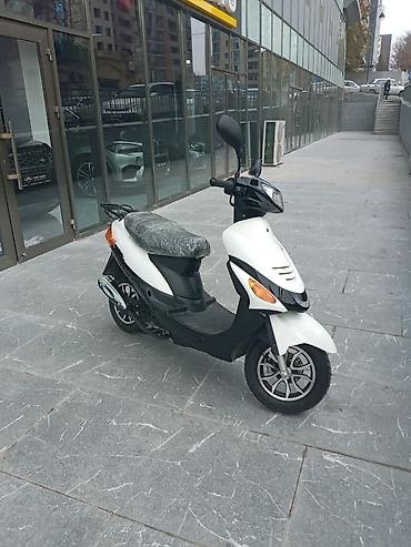 em 50: - X-Road 50, 50 sm3, 2022 il, 290 km — 2