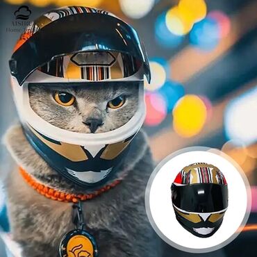 мото аксессуары: Мотоциклетные шлемы для домашних животных, технические, мотоциклетный