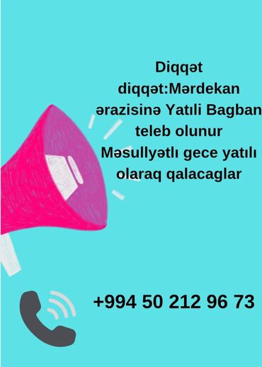 avtoyuma işi: Bağban tələb olunur, Gecə növbəsində iş