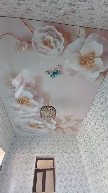 Натяжной потолок: Натяжной потолок Глянцевое, Матовое, 3D потолки Гарантия, Бесплатная консультация, Бесплатный замер — 5