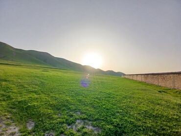 Сельхоз предприятия: Продаю Кошара, 50 соток, Действующий, Без оборудования, Электричество — 10