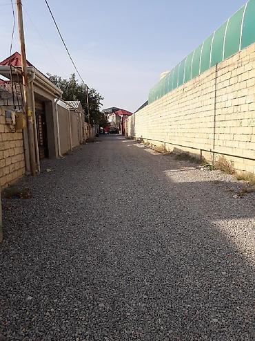 Həyət evləri və villalar: 7 otaqlı, 240 kv. m, Yeni təmirli — 5