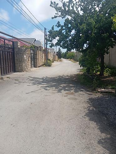 bağca satılır: Bakı, Buzovna, 200 kv. m, 6 otaqlı, Hovuzlu, İnternet, Qaz, İşıq — 4