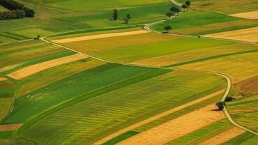 оборудование для кафе бу: 5 соток, Курулуш, Кызыл китеп, Техпаспорт