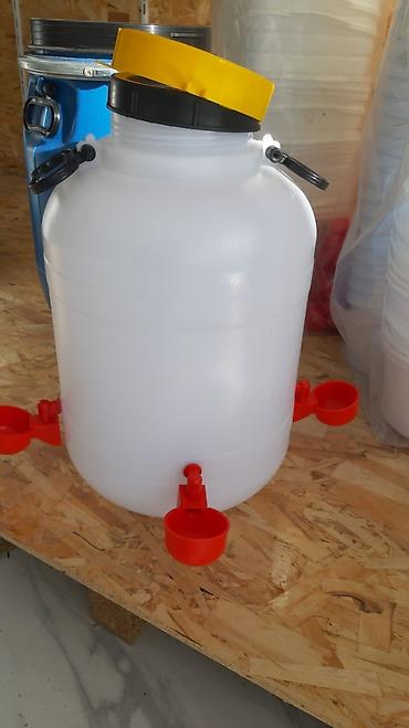 gulab suyu harda satilir: Yem qabı, Su üçün, Quşlar üçün, Ünvandan götürmə, Ödənişli çatdırılma, Rayonlara çatdırılma — 2