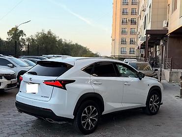 Lexus: Lexus NX: 2017 г., Кроссовер — 4