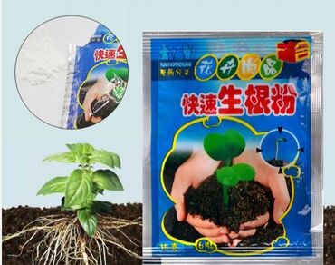 рассада клубники цена: Порошок для укоренения корня бонсай для быстрого роста растений