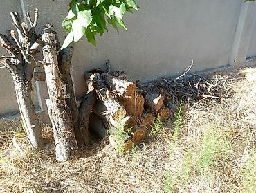 Дрова: Дрова — 7